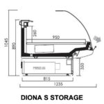 Diona Storage